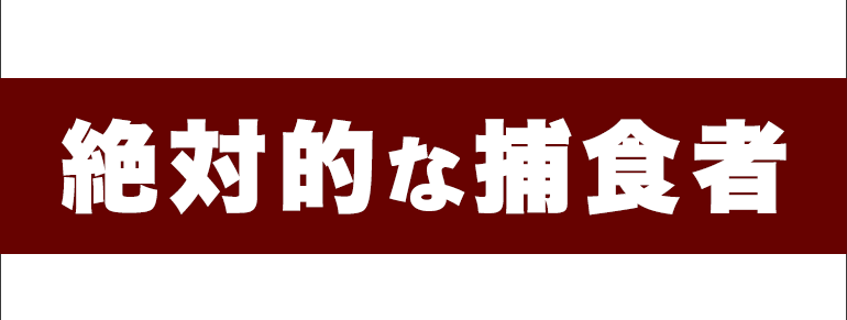 絶対的な捕食者