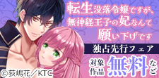 ショコラシュクレ　独占先行フェア