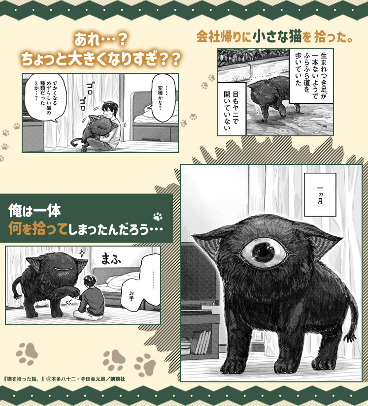 猫を拾った話。