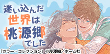 それぞれの恋路を味わい尽くして…群像劇BL
