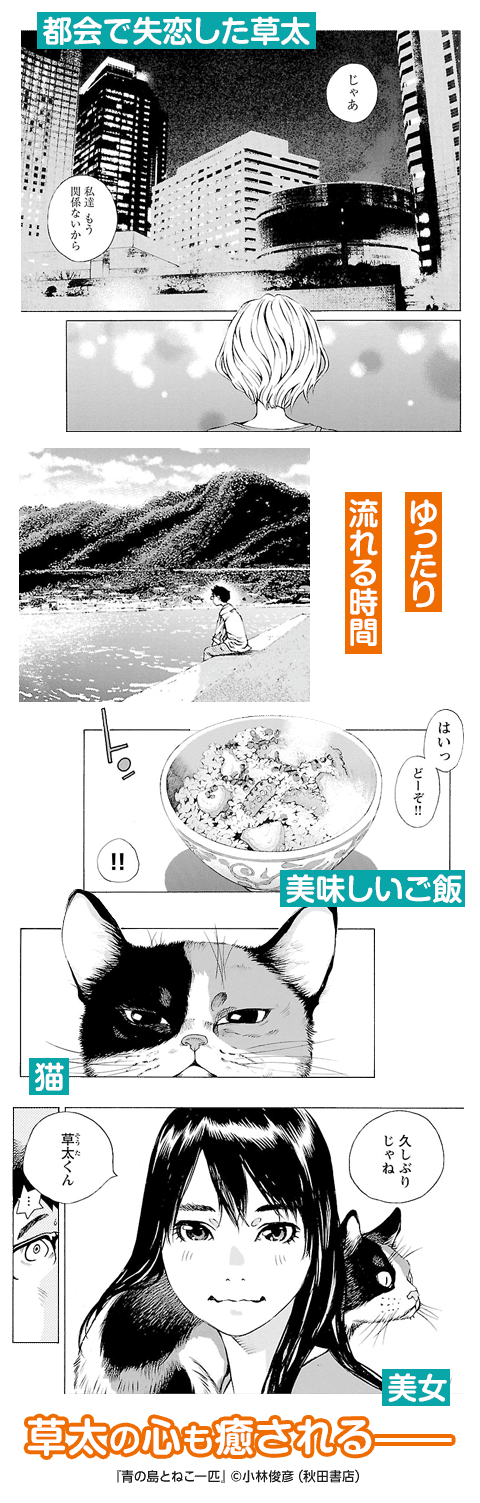 コマサム