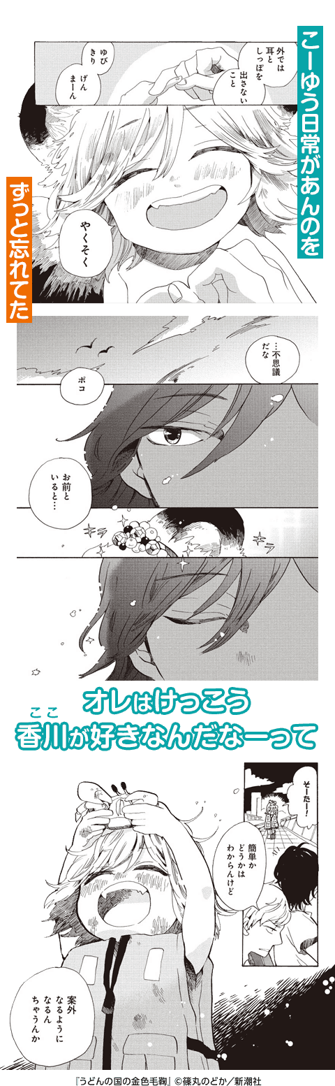 コマサム