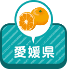 愛媛県