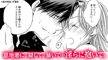 意地悪に、隠して、暴いて…淫らに抱いて。