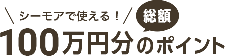 シーモアで使える！総額100万円分のポイント