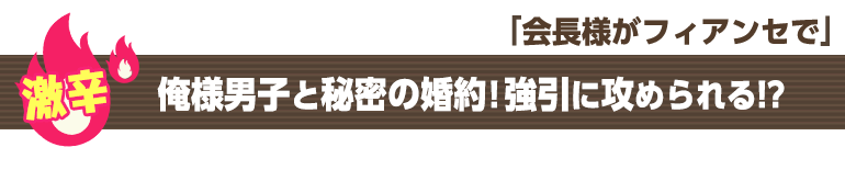 会長様がフィアンセで