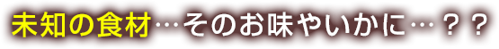 未知の食材…そのお味やいかに…？？