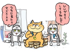 「化け猫あんずちゃん」×仕事猫のコラボイラスト。