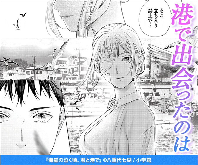 海猫の泣く頃、君と港で